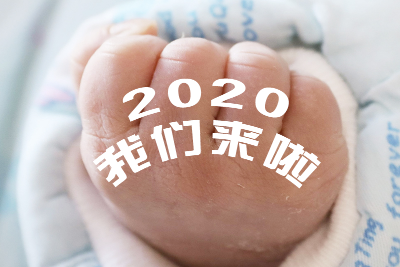 0202 z.jpg