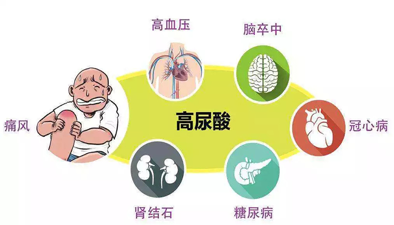 痛風(fēng) 高尿酸.jpg