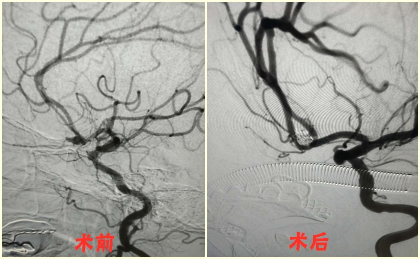 530210340568716272_副本_副本.jpg
